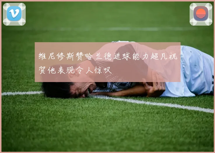 维尼修斯赞哈兰德进球能力超凡祝贺他表现令人惊叹