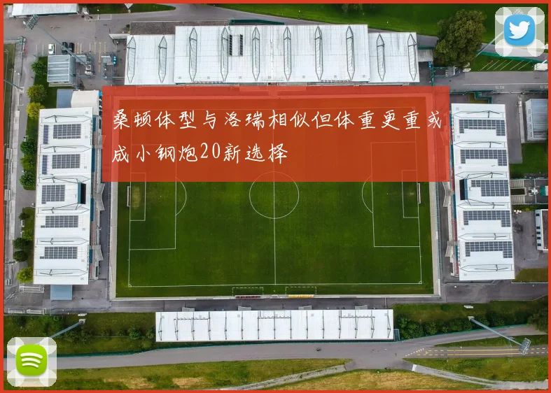桑顿体型与洛瑞相似但体重更重或成小钢炮20新选择